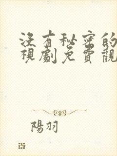 没有秘密的你电视剧免费观看全集封面