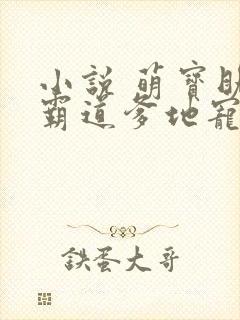 小说 萌宝助攻霸道爹地宠又撩封面