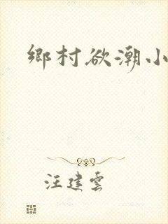 乡村欲潮小说封面