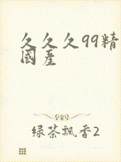 久久久99精品国产