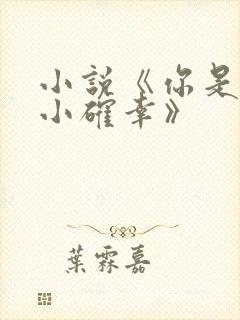 小说《你是我的小确幸》