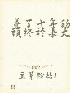 养了十年的小丫头终于长大了