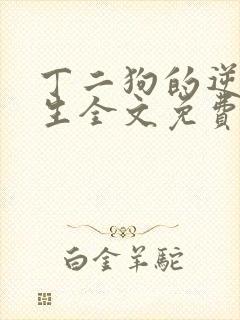 丁二狗的逆袭人生全文免费阅读封面