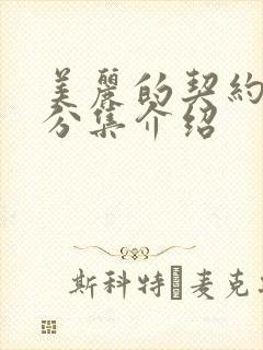 美丽的契约剧情分集介绍封面