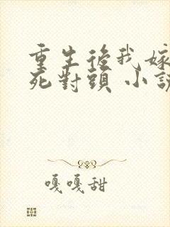 重生后我嫁给了死对头 小说