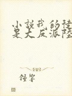 小说我的徒弟都是大反派陆州免费封面