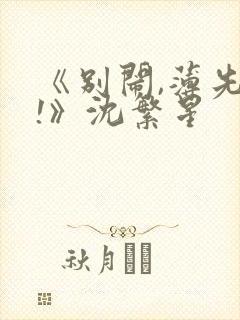 《别闹,薄先生!》沈繁星封面