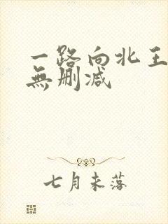 一路向北王李丹无删减封面