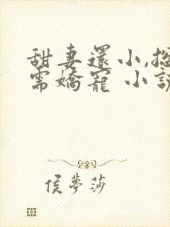 甜妻还小,总裁需娇宠 小说