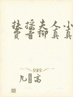 扶摇夫人小说免费看柳真真