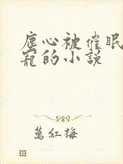 尘心被催眠成男宠的小说封面