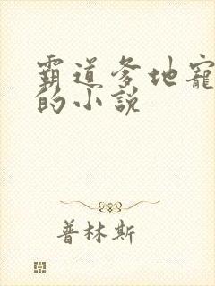 霸道爹地宠又撩的小说