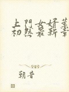 上门女婿叶辰萧初然最新章节免费阅读书