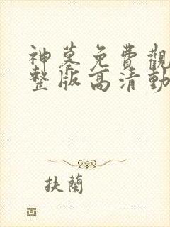 神墓免费观看完整版高清动漫在线