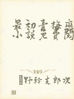 最初青梅恋竹马小说免费阅读