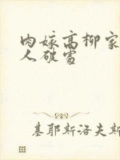 肉嫁高柳家的女人破处封面