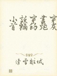 小说穿书穿成了首辅的炮灰原配