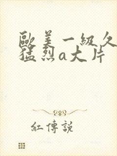 欧美一级久久久猛烈a大片