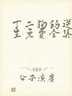 丁二狗的逆袭人生免费全集