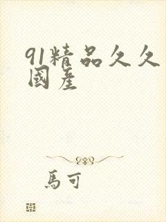 91精品久久久国产