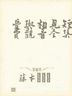 爱与相见短剧免费观看全集高清