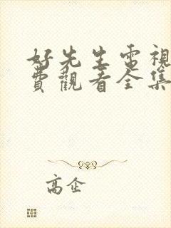 好先生电视剧免费观看全集完整版封面