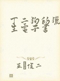 丁二狗的猎艳人生电子书