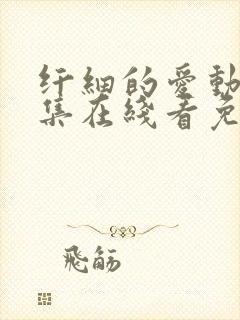 纤细的爱动漫全集在线看免费封面