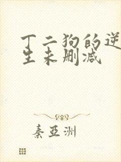 丁二狗的逆袭人生未删减