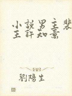 小说男主裴衍女主许知意