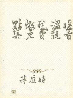 点燃我温暖你全集免费观看高清