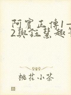 阿宾正传1—72与钰慧趣笔阁