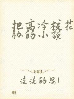 把高冷校花被威胁的小说封面