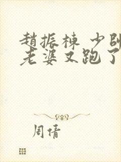 赵振栋 少帅你老婆又跑了封面