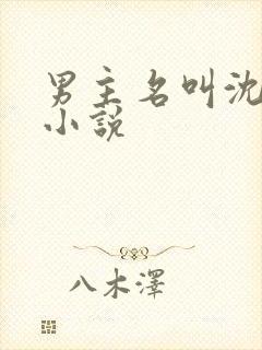 男主名叫沈辞的小说