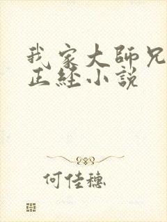 我家大师兄不太正经小说封面