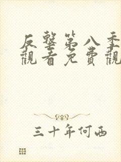 反击第八季在线观看免费观看完整版封面