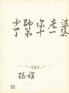 少帅你老婆又跑了第十一集封面