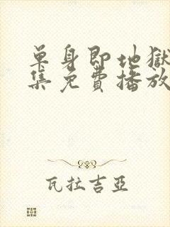 单身即地狱4全集免费播放