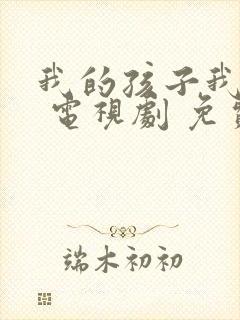 我的孩子我的家 电视剧 免费观看封面