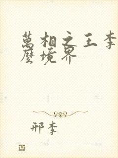 万相之王李洛什么境界