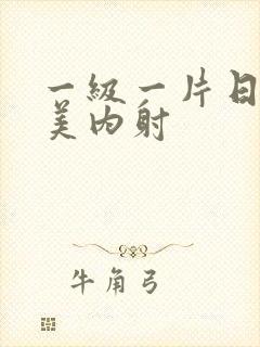 一级一片日韩欧美内射