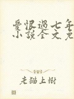爱恨过七年原著小说全文免费阅读