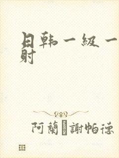 日韩一级一片内射