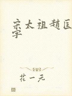 宋太祖赵匡胤八字