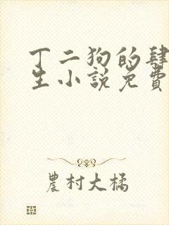 丁二狗的肆意人生小说免费