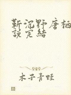 靳沉野唐栖雾小说完结