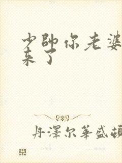 少帅你老婆又跑来了