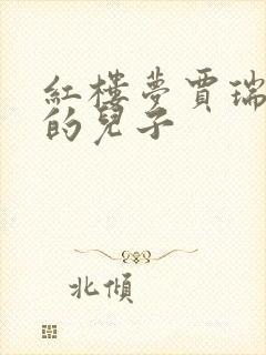 红楼梦贾瑞是谁的儿子