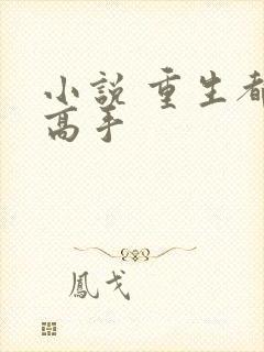 小说 重生都市高手